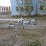 Jeux dans une cour d'école à Ölgiy